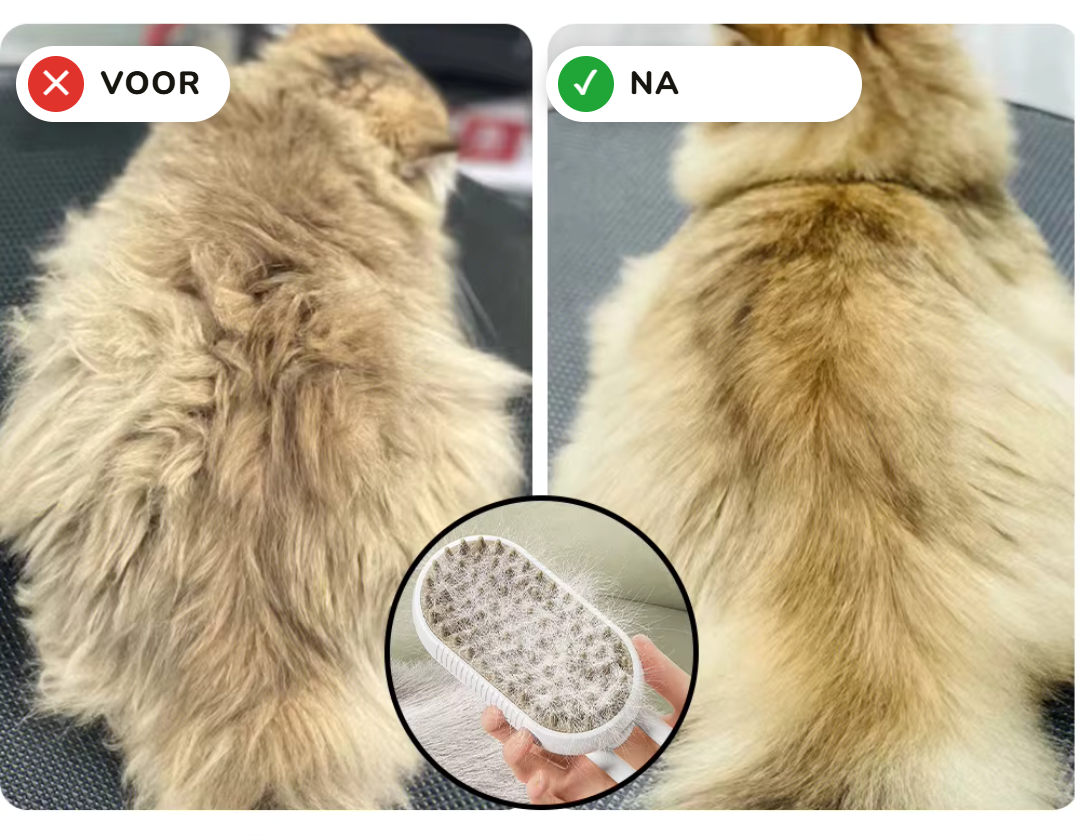 PetMeet® - Luxe Kattenborstel - Katten stoomborstel - Kattenkam met Massagefunctie